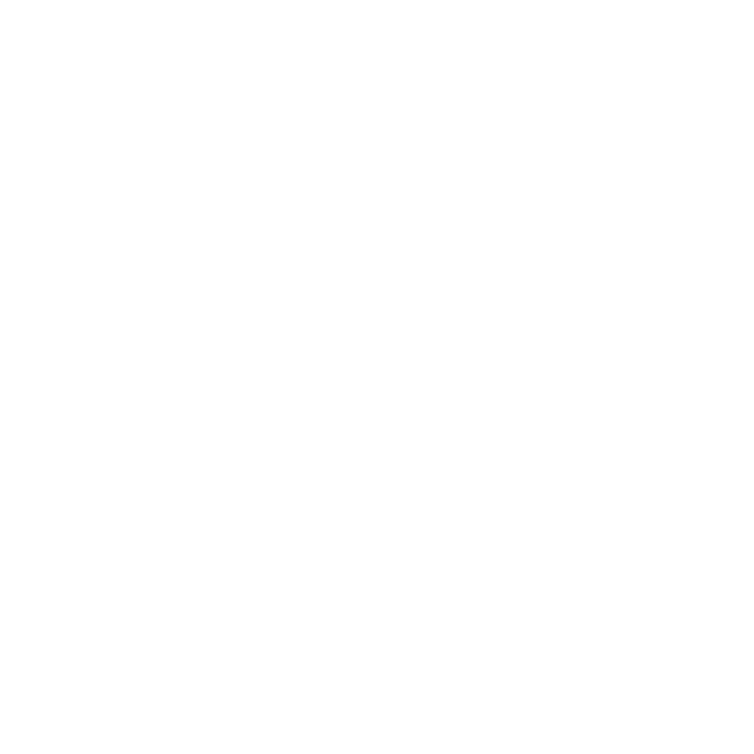 Slicky Media